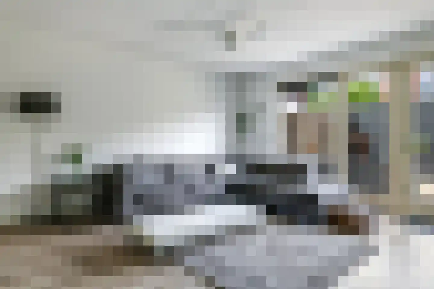 De Dries 30 Heteren thumbnail 11