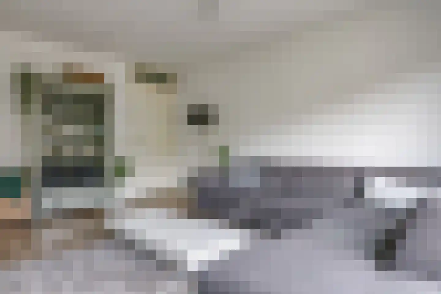 De Dries 30 Heteren thumbnail 13