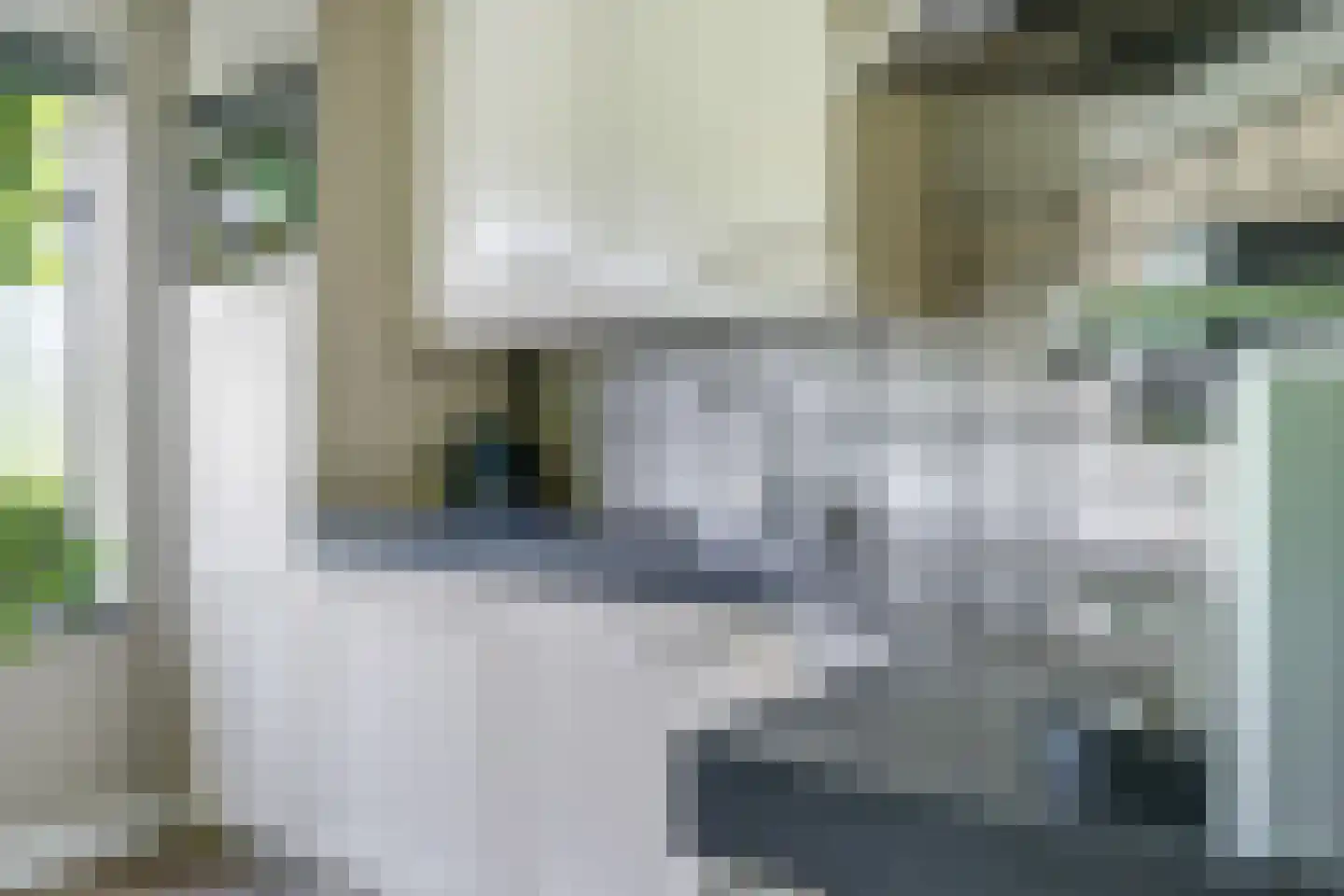 De Dries 30 Heteren thumbnail 18