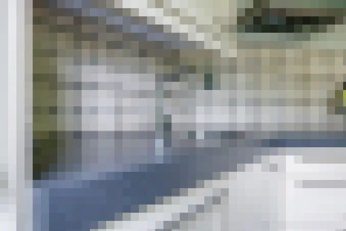 De Dries 30 Heteren thumbnail 21