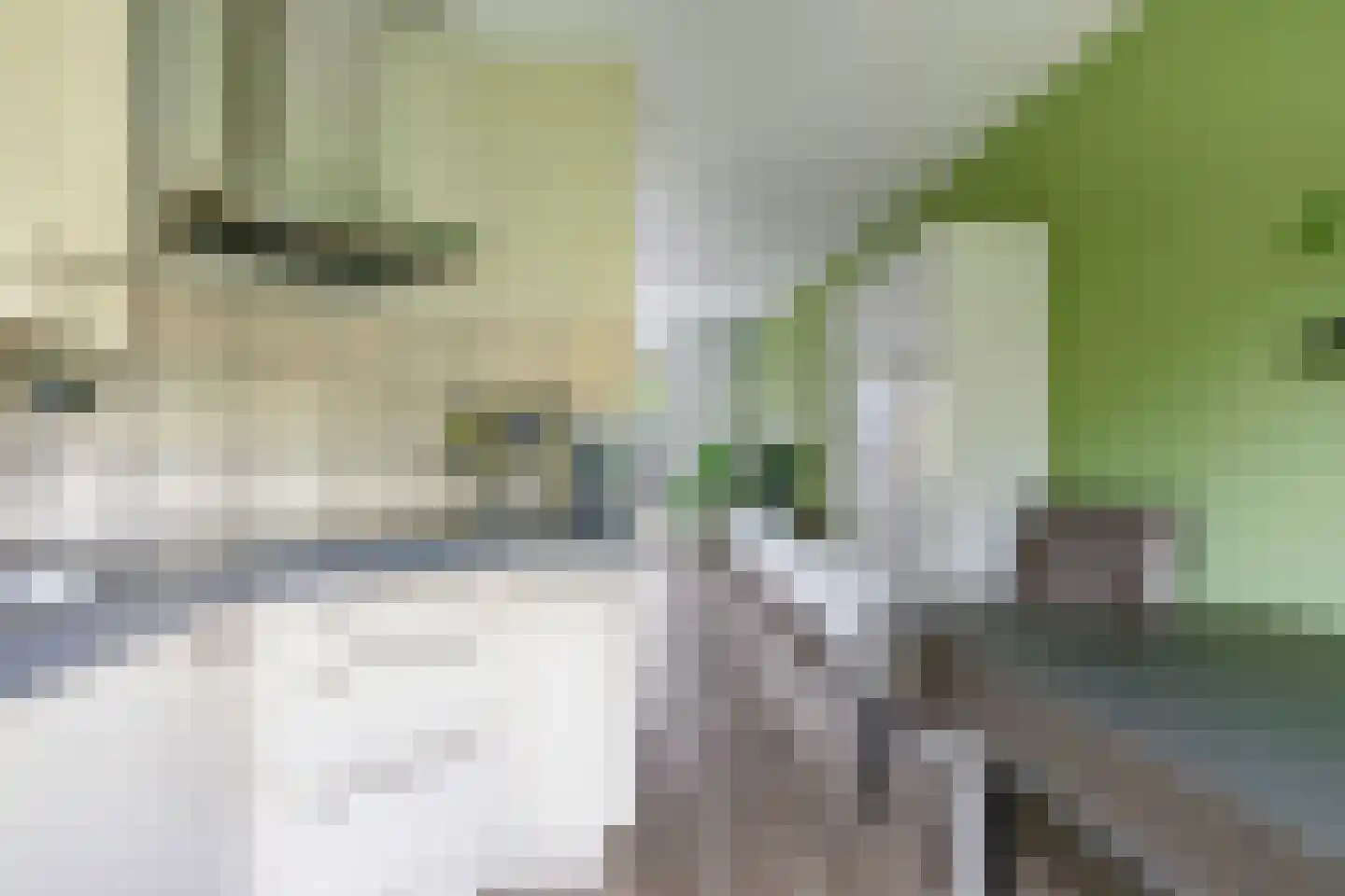 De Dries 30 Heteren thumbnail 23