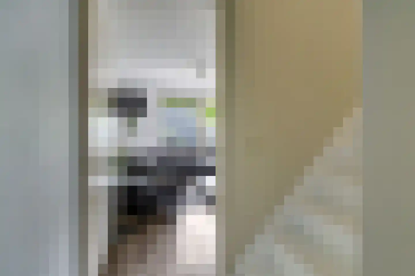 De Dries 30 Heteren thumbnail 25