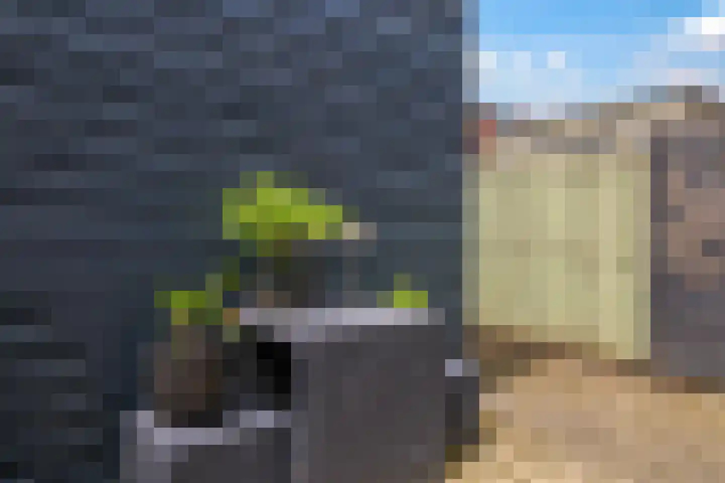 De Dries 30 Heteren thumbnail 49