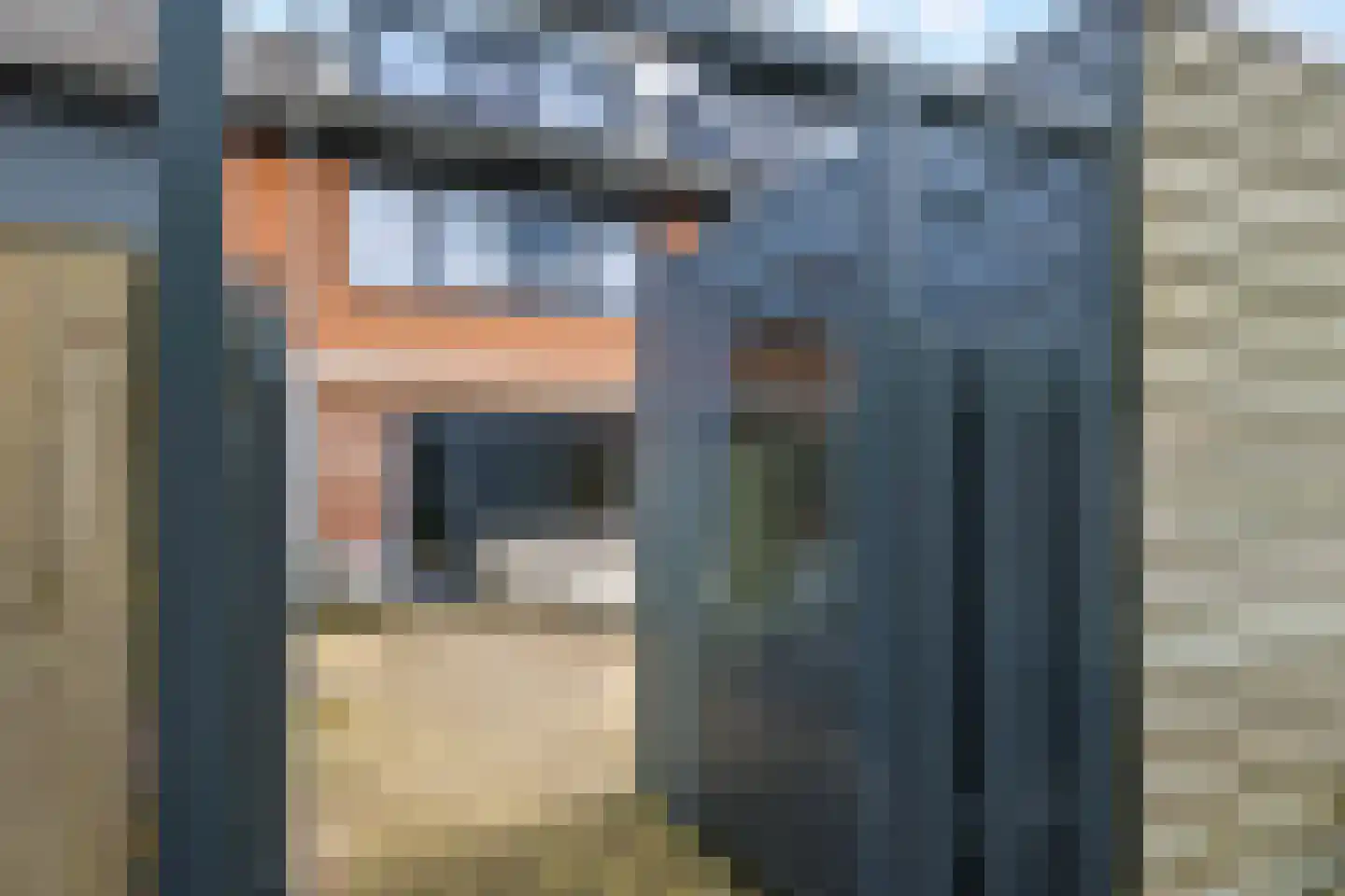 De Dries 30 Heteren thumbnail 51