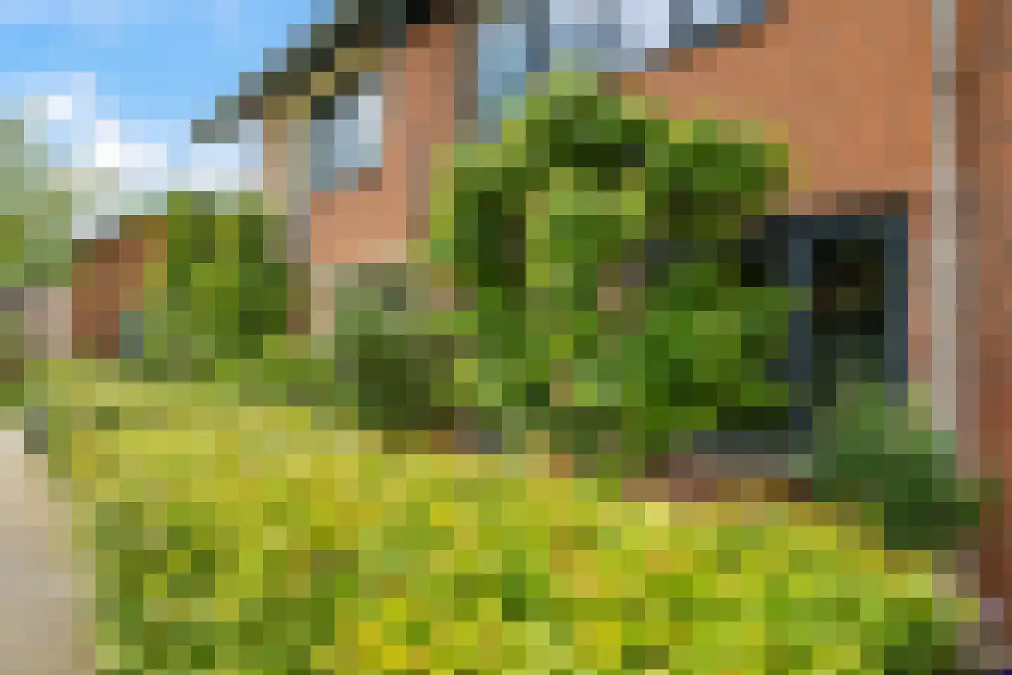 De Dries 30 Heteren thumbnail 59