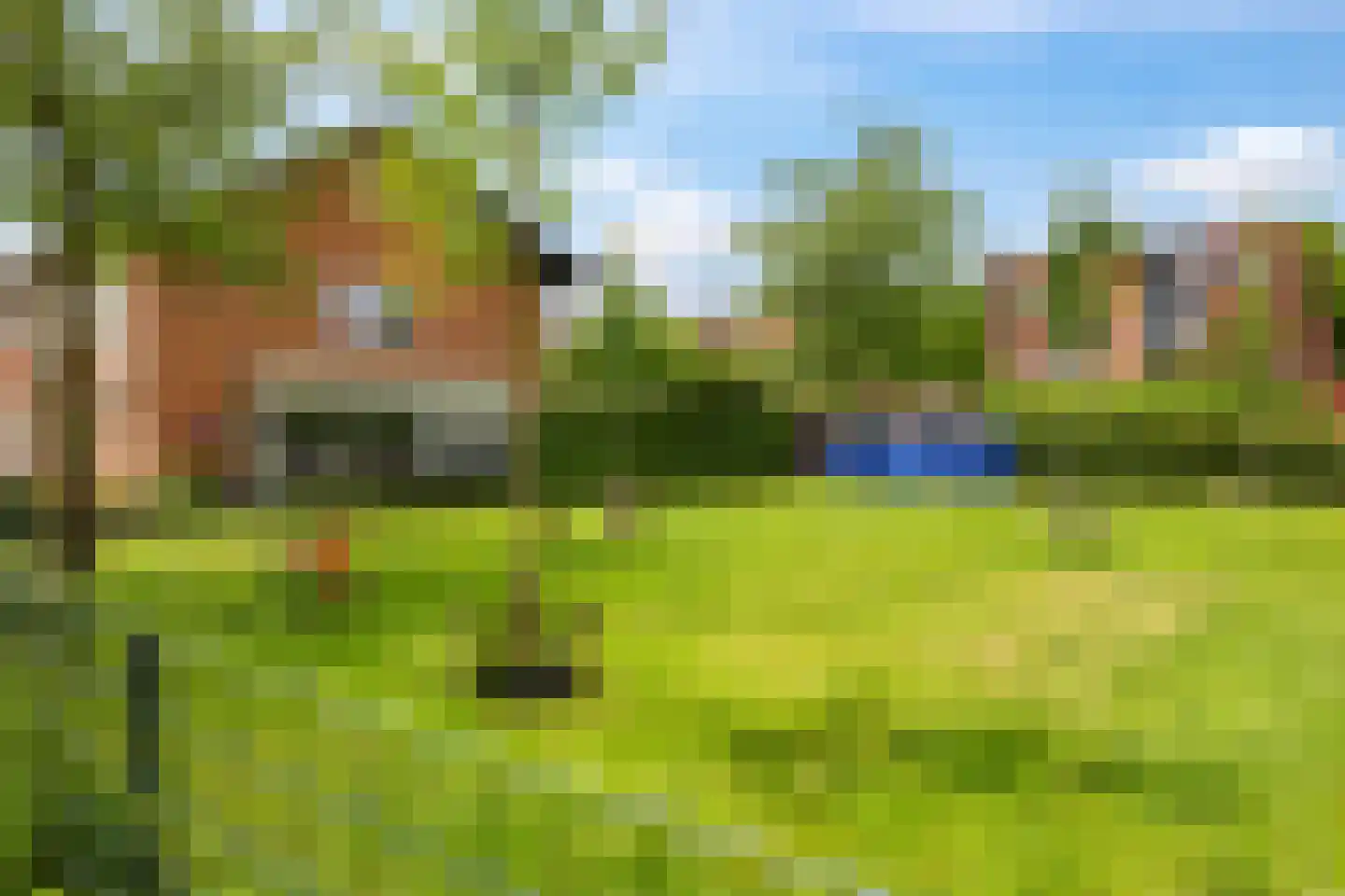 De Dries 30 Heteren thumbnail 60