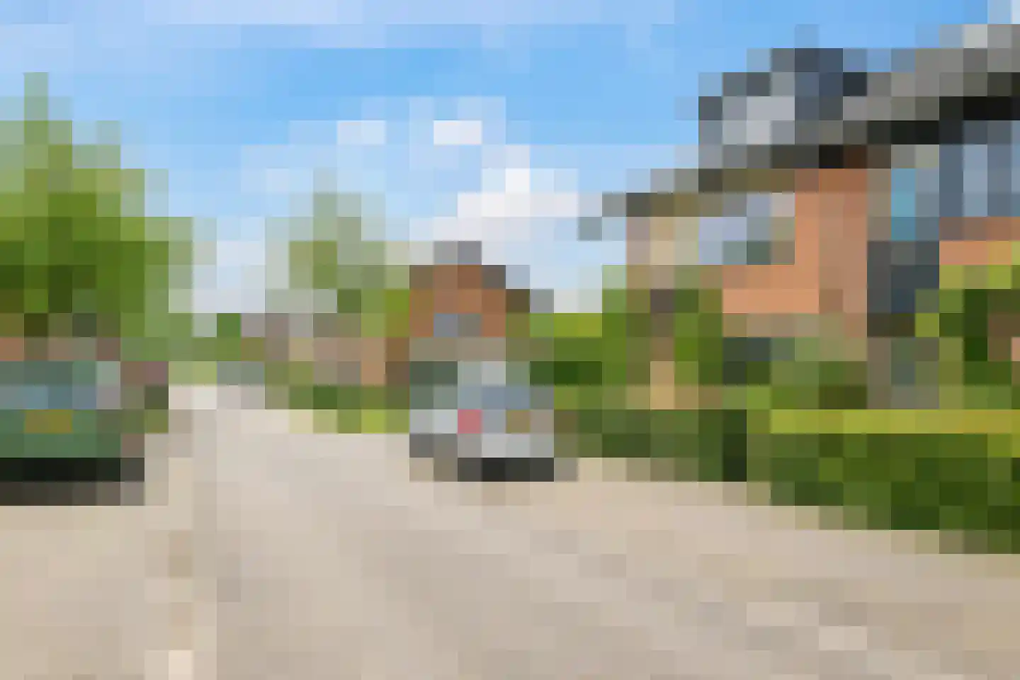 De Dries 30 Heteren thumbnail 63