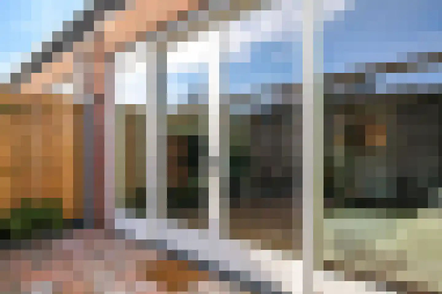 De Dries 39 Heteren thumbnail 60