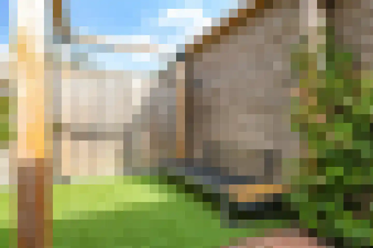 De Dries 39 Heteren thumbnail 66