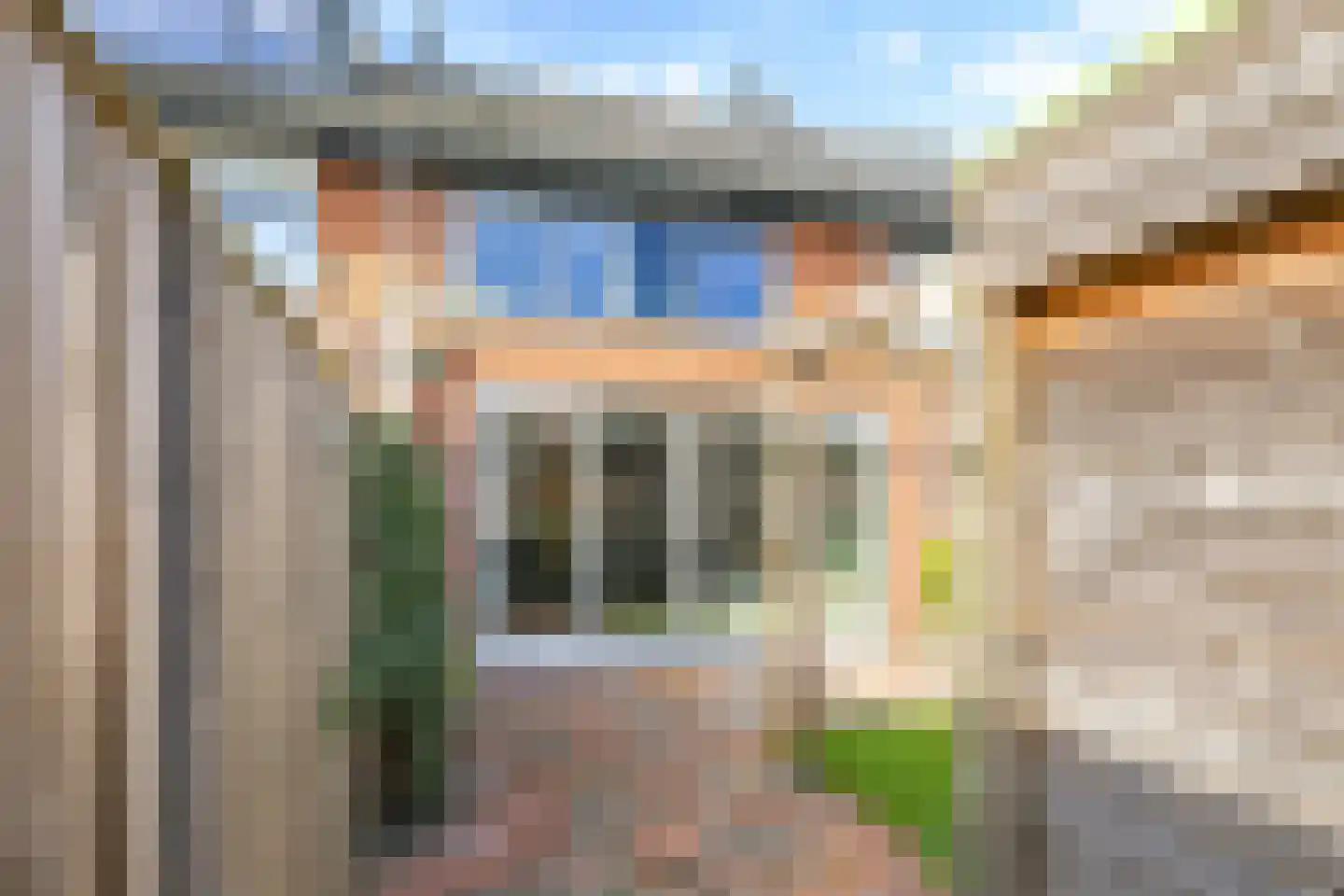 De Dries 39 Heteren thumbnail 68