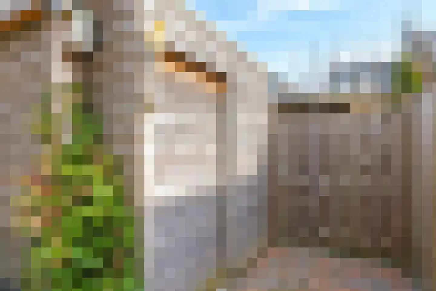 De Dries 39 Heteren thumbnail 70