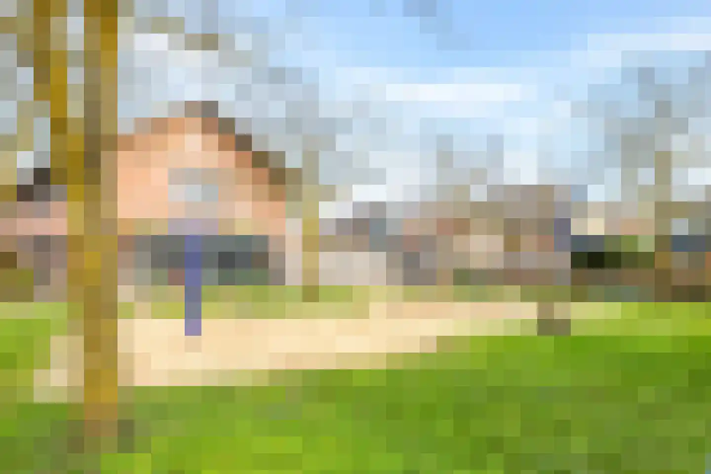 De Dries 39 Heteren thumbnail 74