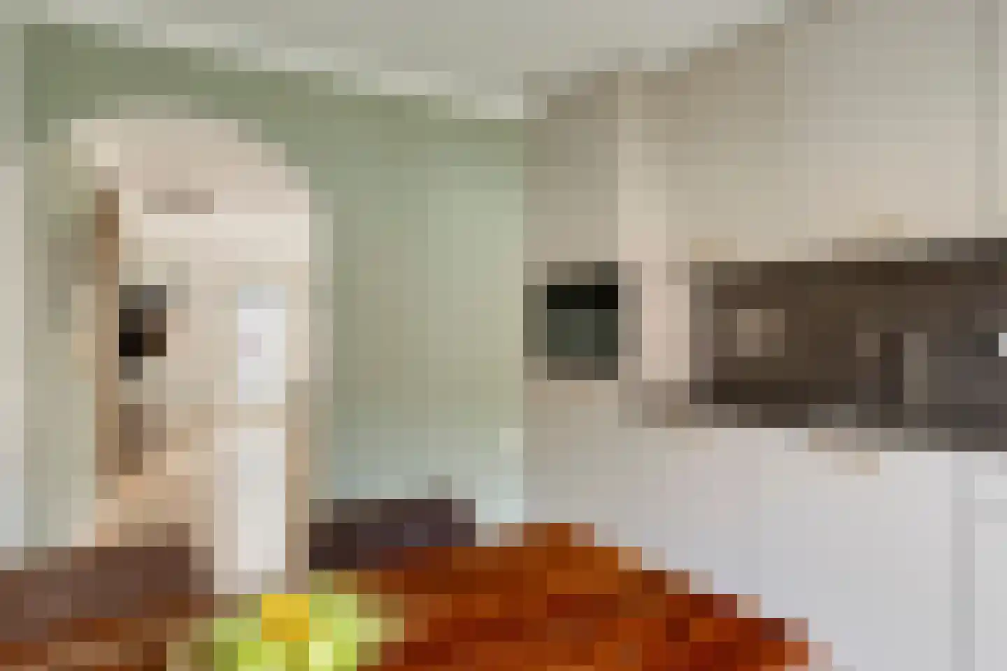De Dries 47 Heteren thumbnail 17