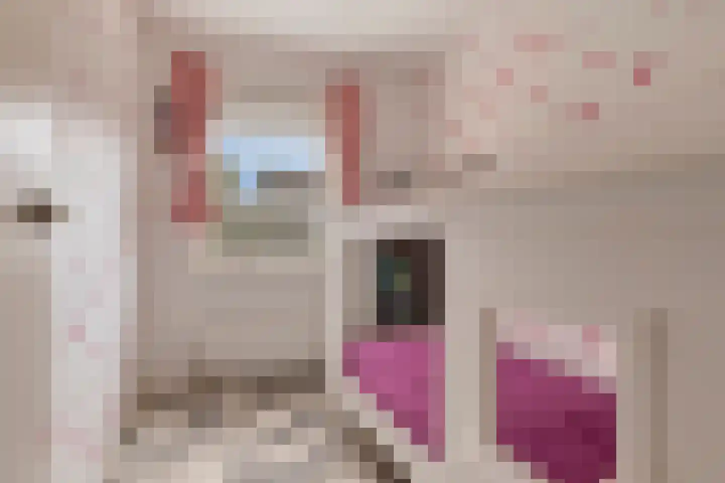 De Dries 47 Heteren thumbnail 24