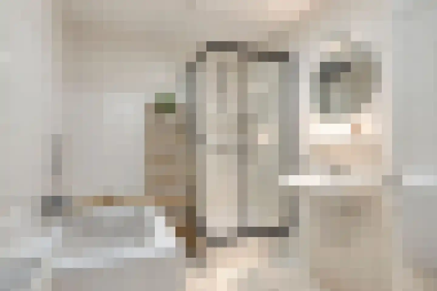 De Dries 47 Heteren thumbnail 25