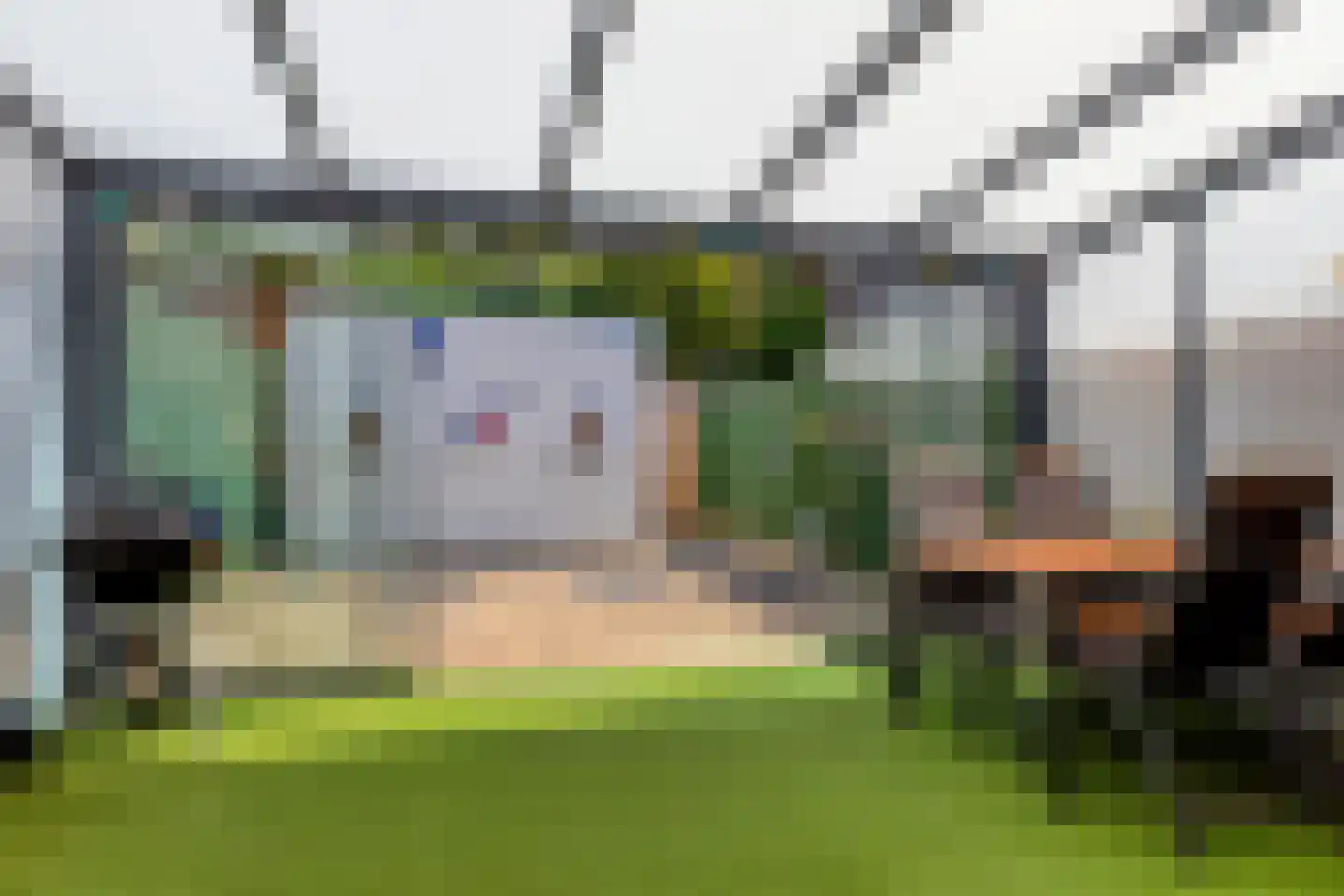 De Dries 47 Heteren thumbnail 31