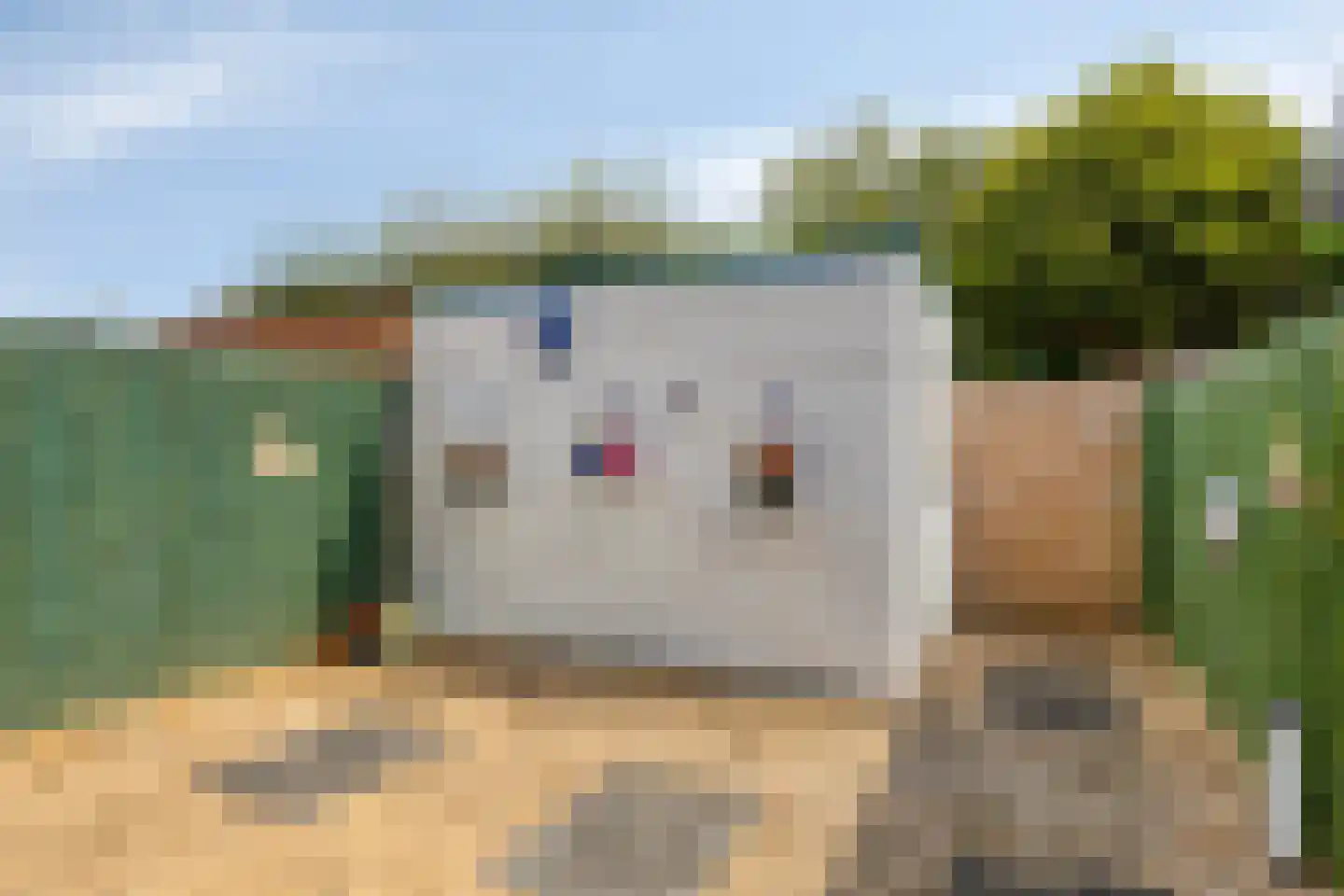 De Dries 47 Heteren thumbnail 35