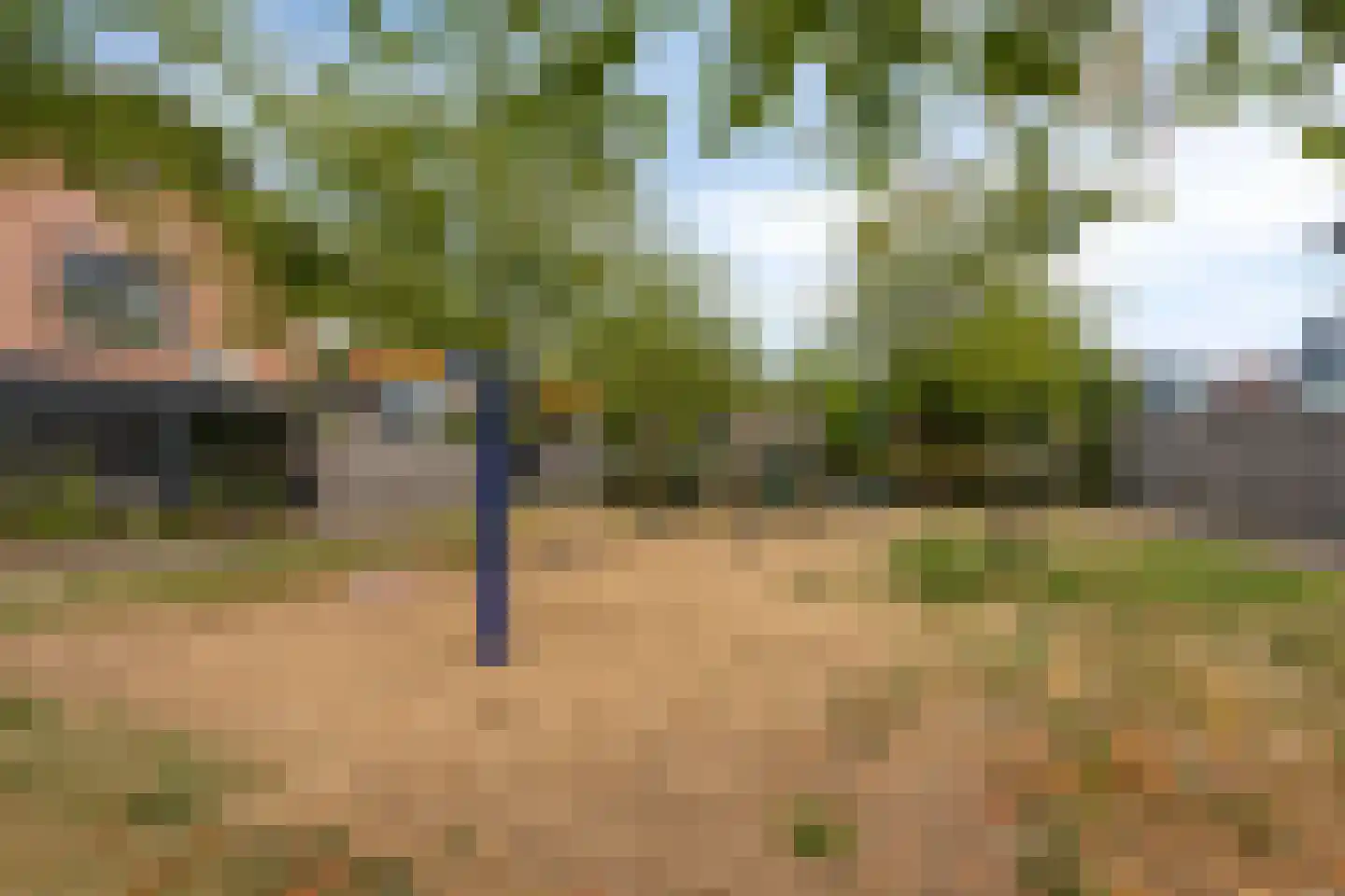 De Dries 47 Heteren thumbnail 38