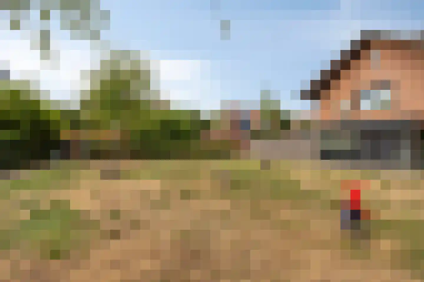 De Dries 47 Heteren thumbnail 39