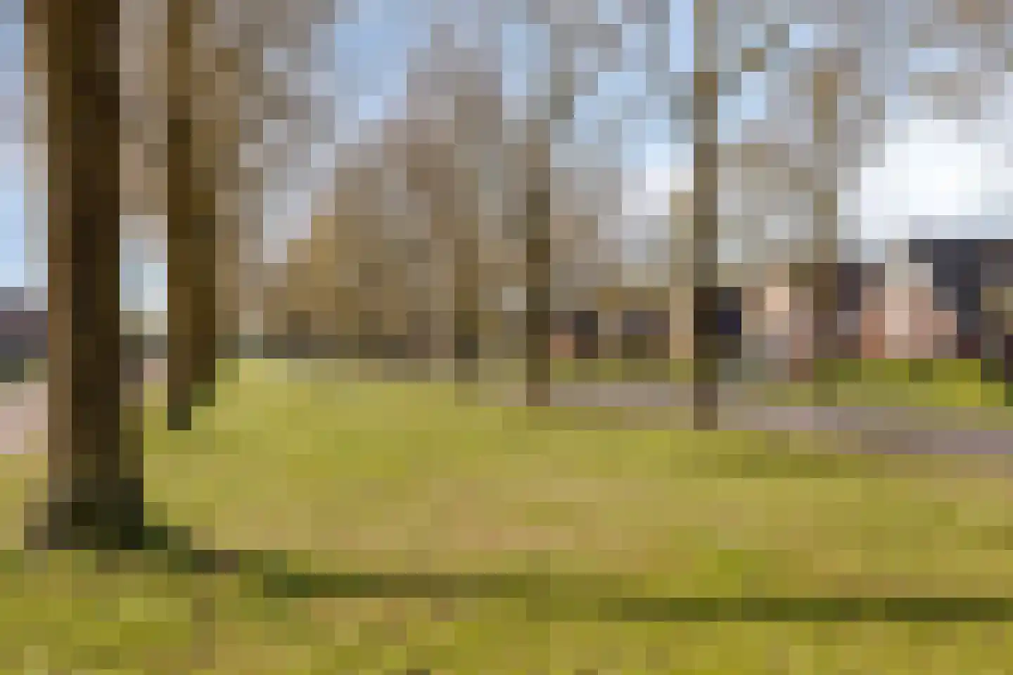 De Dries 47 Heteren thumbnail 40