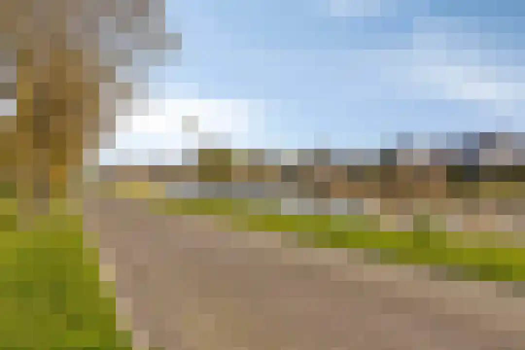 De Dries 47 Heteren thumbnail 41