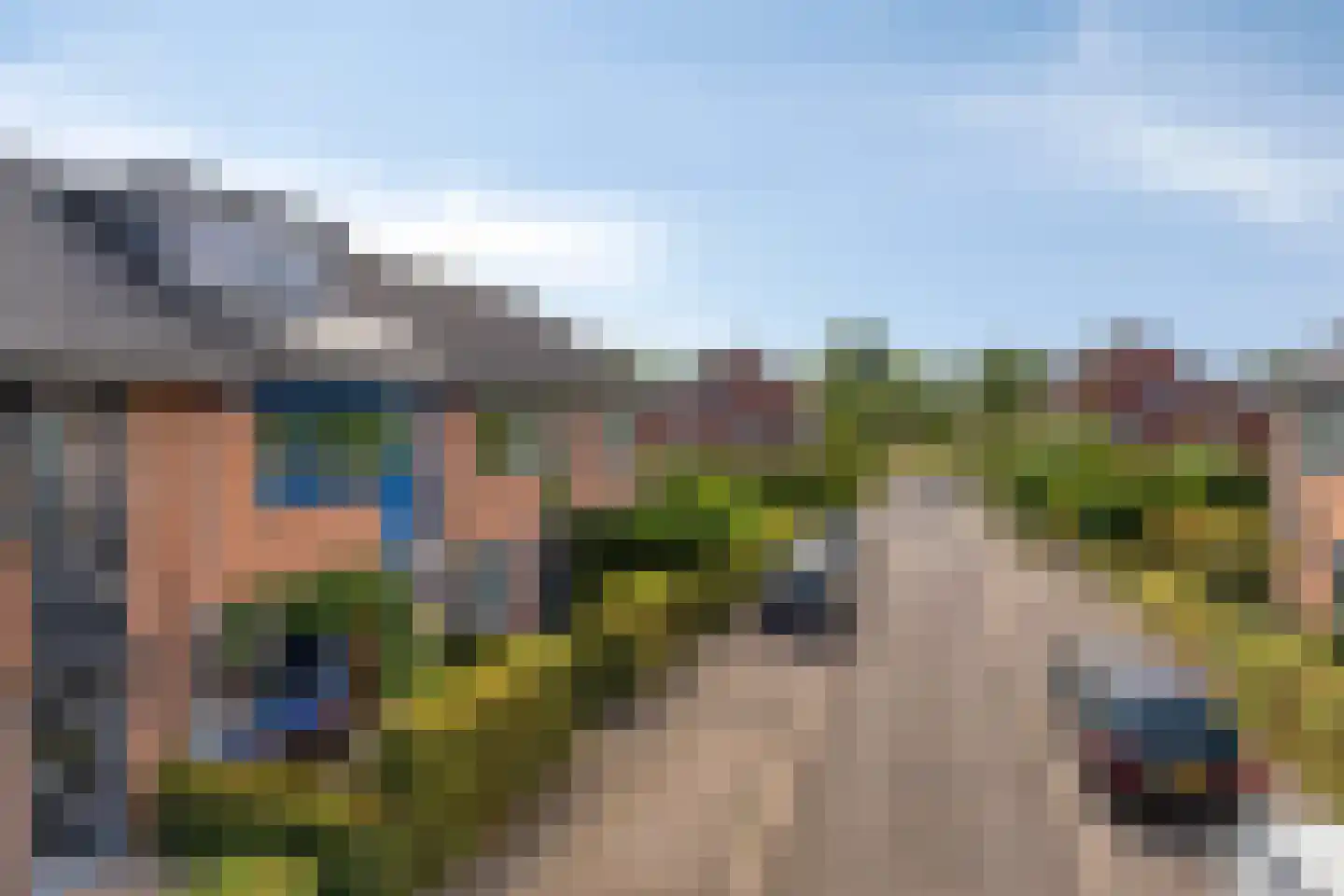 De Dries 47 Heteren thumbnail 7