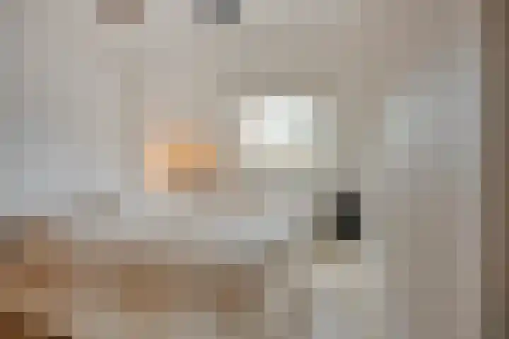 De Driesprong 1 Rosmalen thumbnail 11