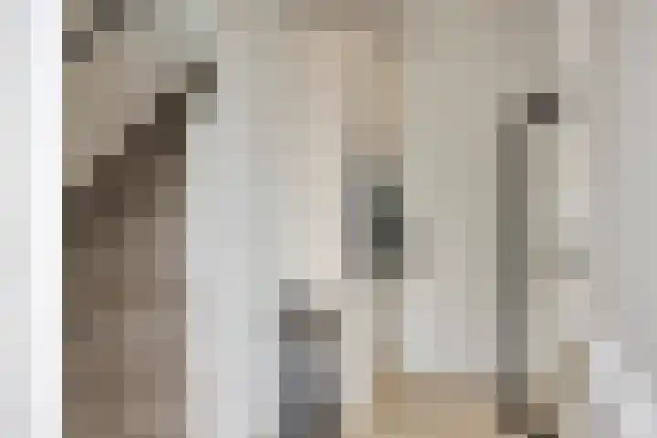 De Driesprong 1 Rosmalen thumbnail 16