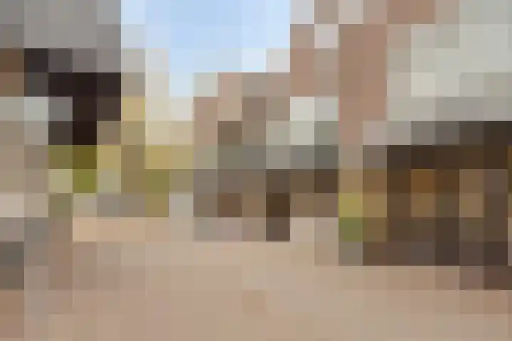 De Driesprong 1 Rosmalen thumbnail 21