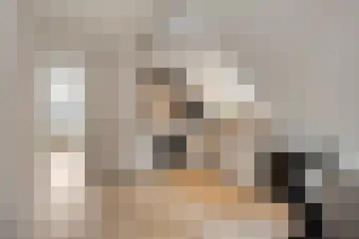 De Driesprong 1 Rosmalen thumbnail 5