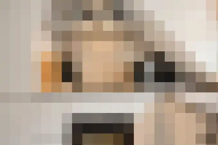 De Driesprong 1 Rosmalen thumbnail 7
