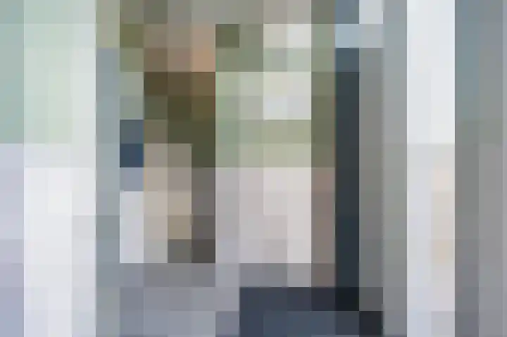 De Driesprong 2 Linschoten thumbnail 19