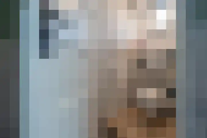 De Driesprong 2 Linschoten thumbnail 20