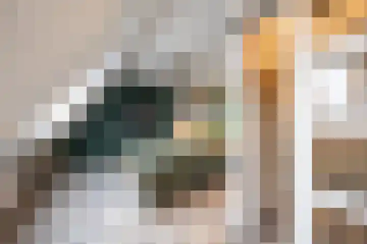 De Driesprong 2 Linschoten thumbnail 26