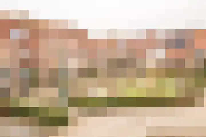 De Driesprong 2 Linschoten thumbnail 47