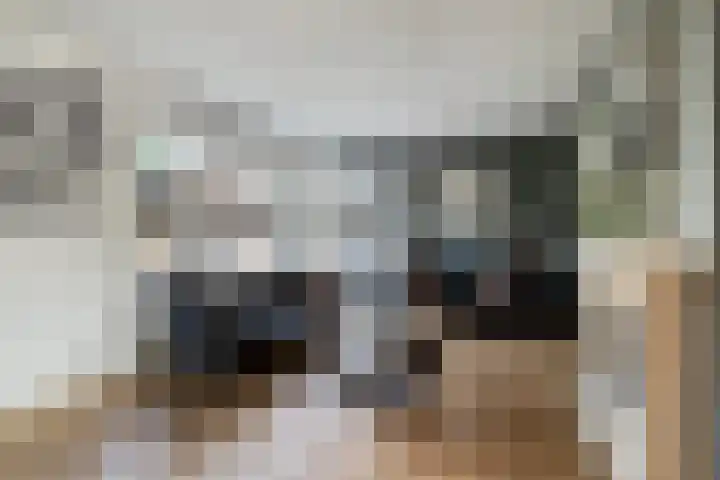 De Driesprong 21 Dronten thumbnail 10