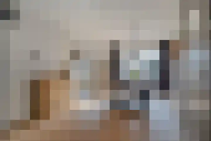 De Driesprong 21 Dronten thumbnail 12