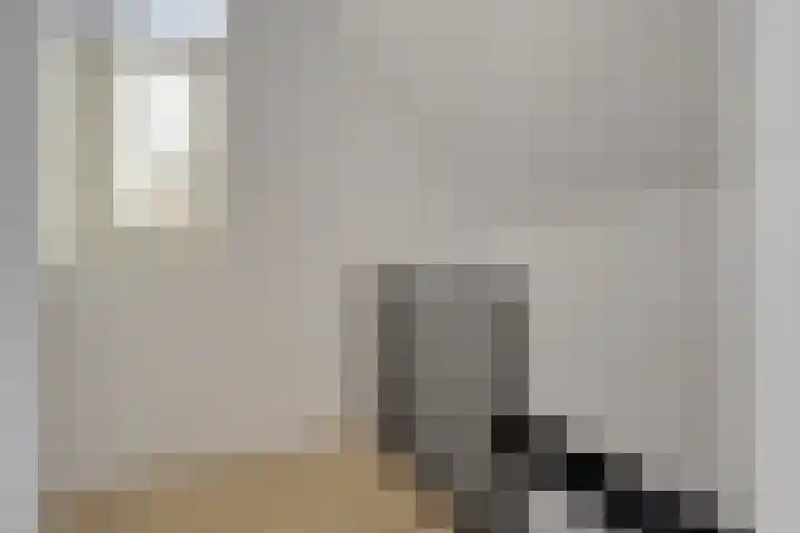 De Driesprong 21 Dronten thumbnail 32