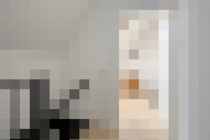 De Driesprong 21 Dronten thumbnail 33