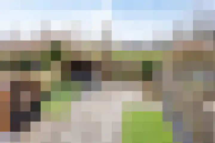 De Driesprong 21 Dronten thumbnail 39