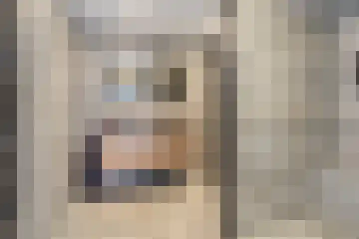 De Driesprong 21 Dronten thumbnail 4