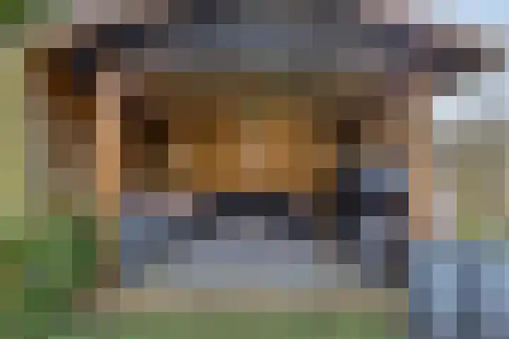 De Driesprong 21 Dronten thumbnail 40