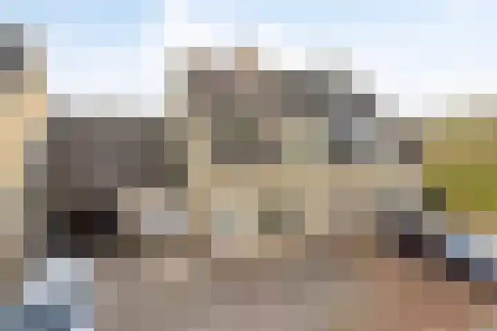 De Driesprong 21 Dronten thumbnail 5