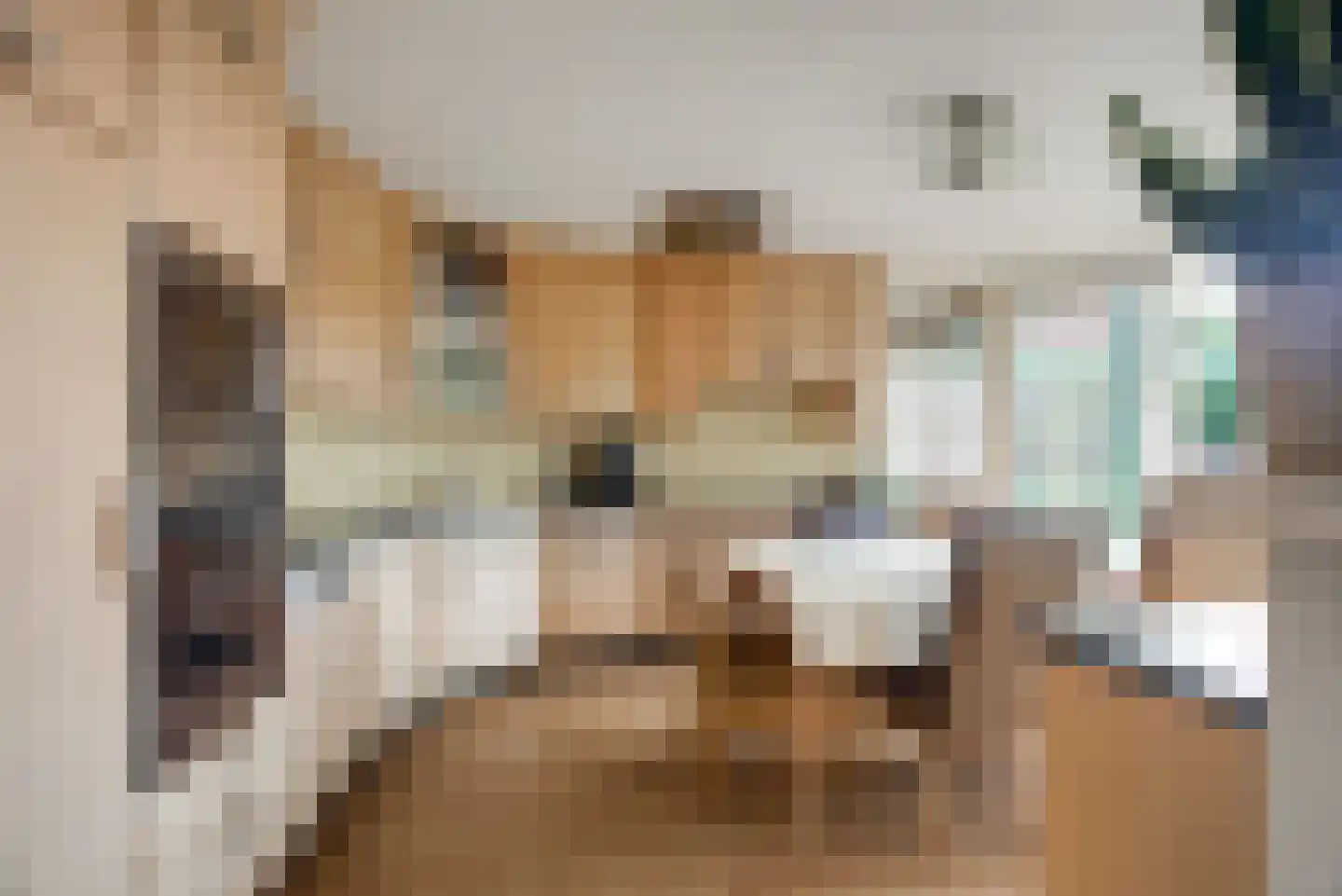 De Driesprong 24 Kwintsheul thumbnail 13