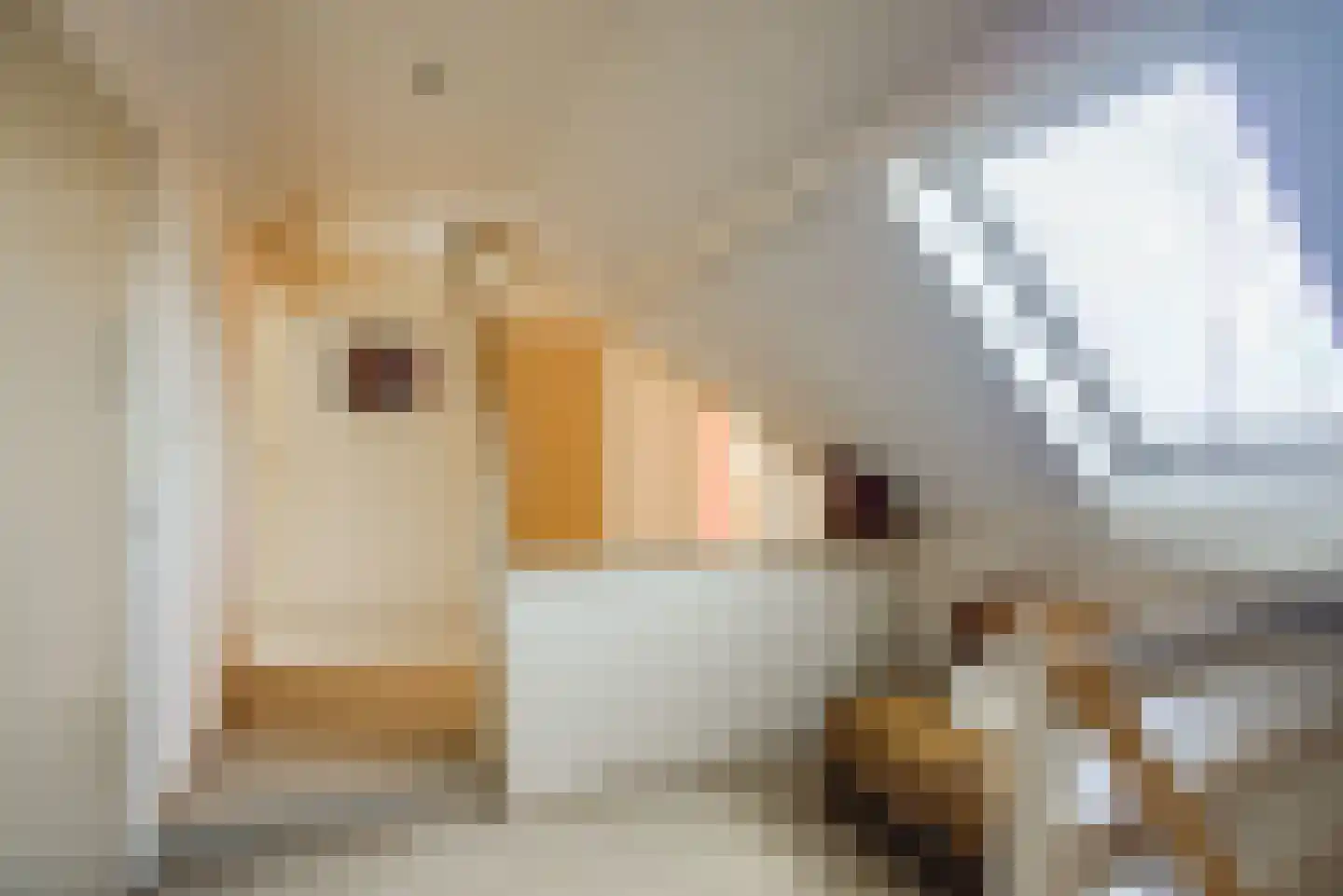 De Driesprong 24 Kwintsheul thumbnail 26