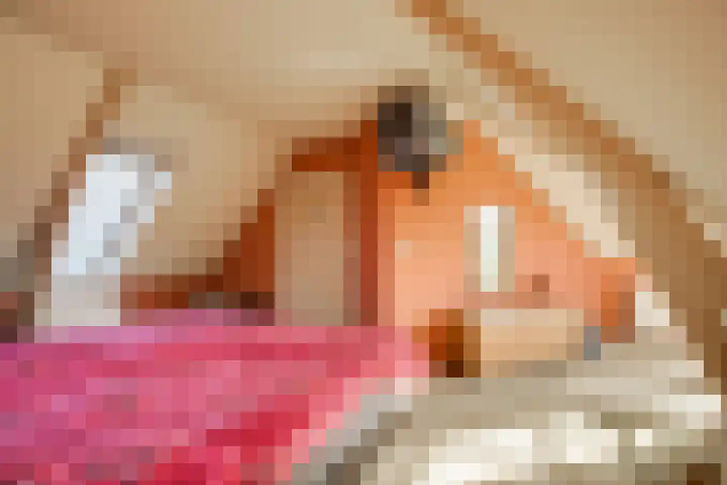 De Driesprong 24 Kwintsheul thumbnail 31