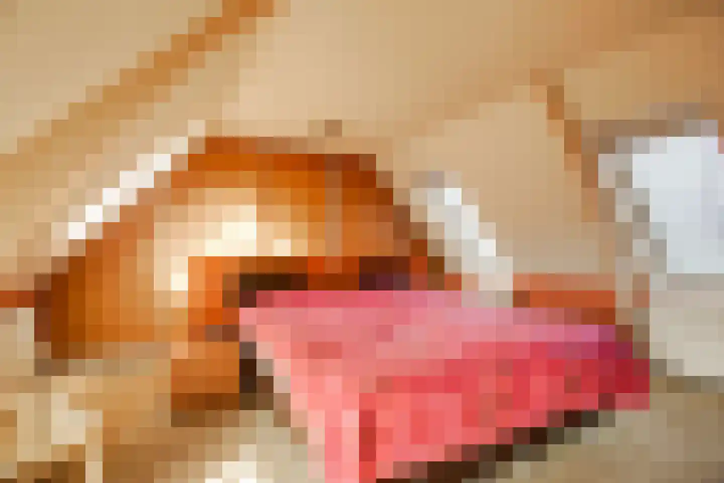 De Driesprong 24 Kwintsheul thumbnail 33