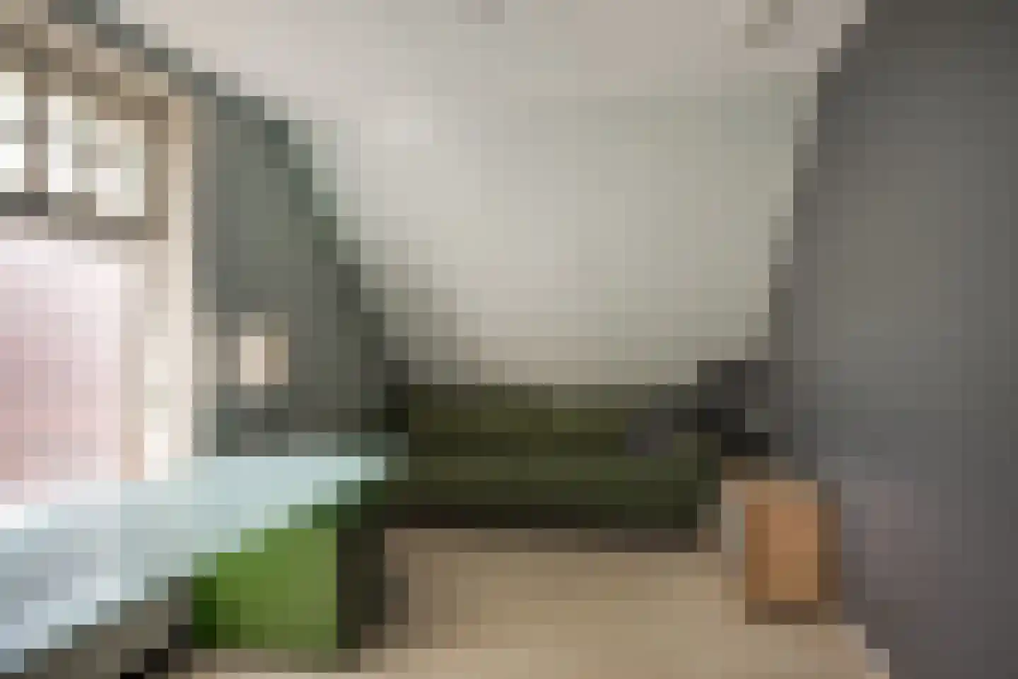 De Driesprong 24 Kwintsheul thumbnail 36