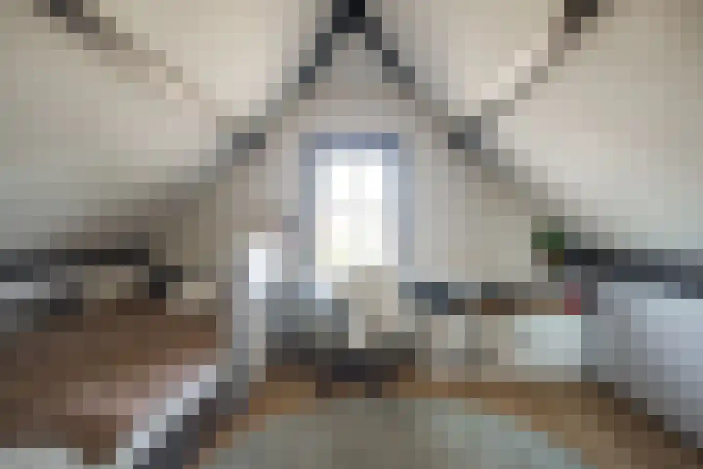 De Driesprong 24 Kwintsheul thumbnail 38