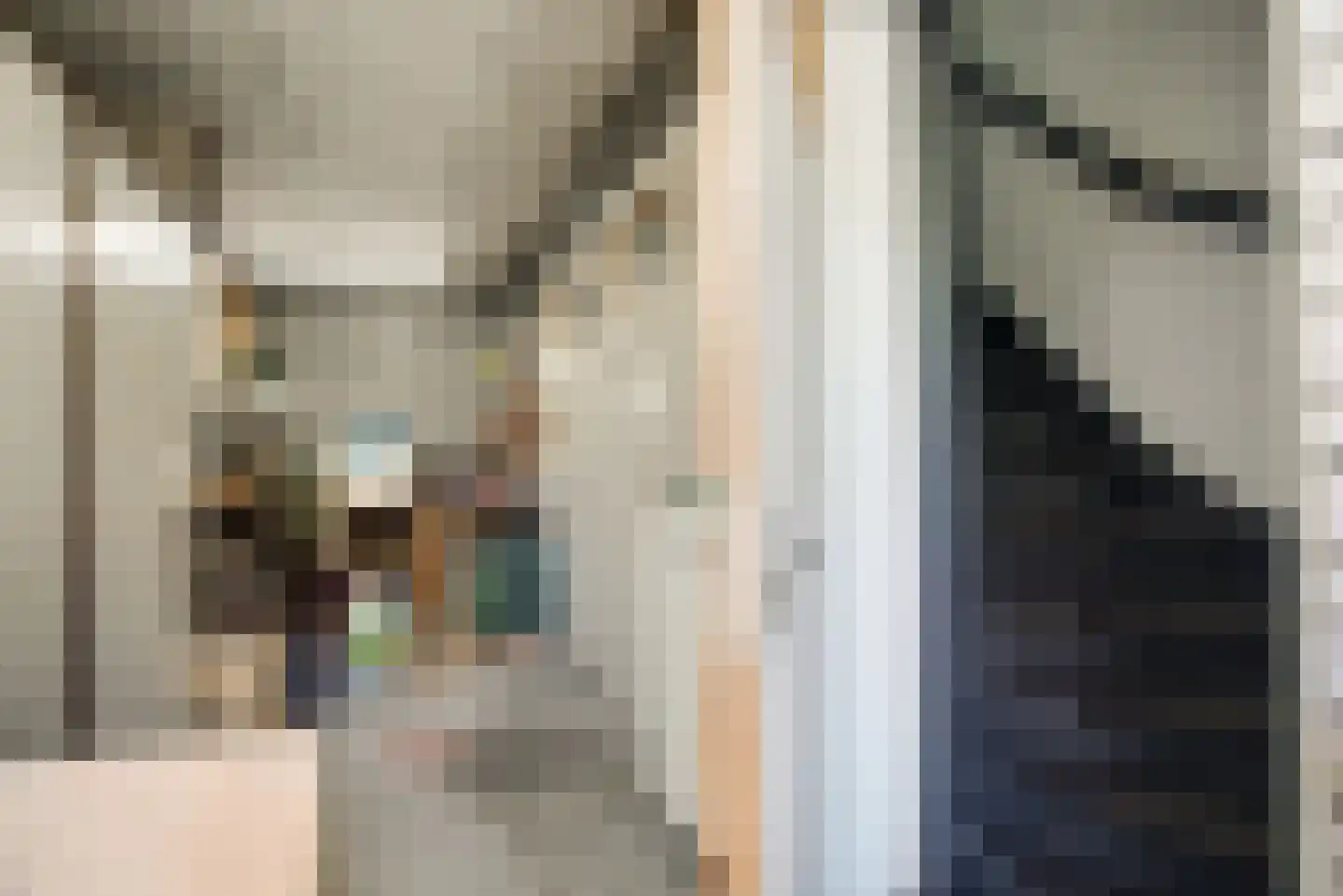 De Driesprong 24 Kwintsheul thumbnail 42